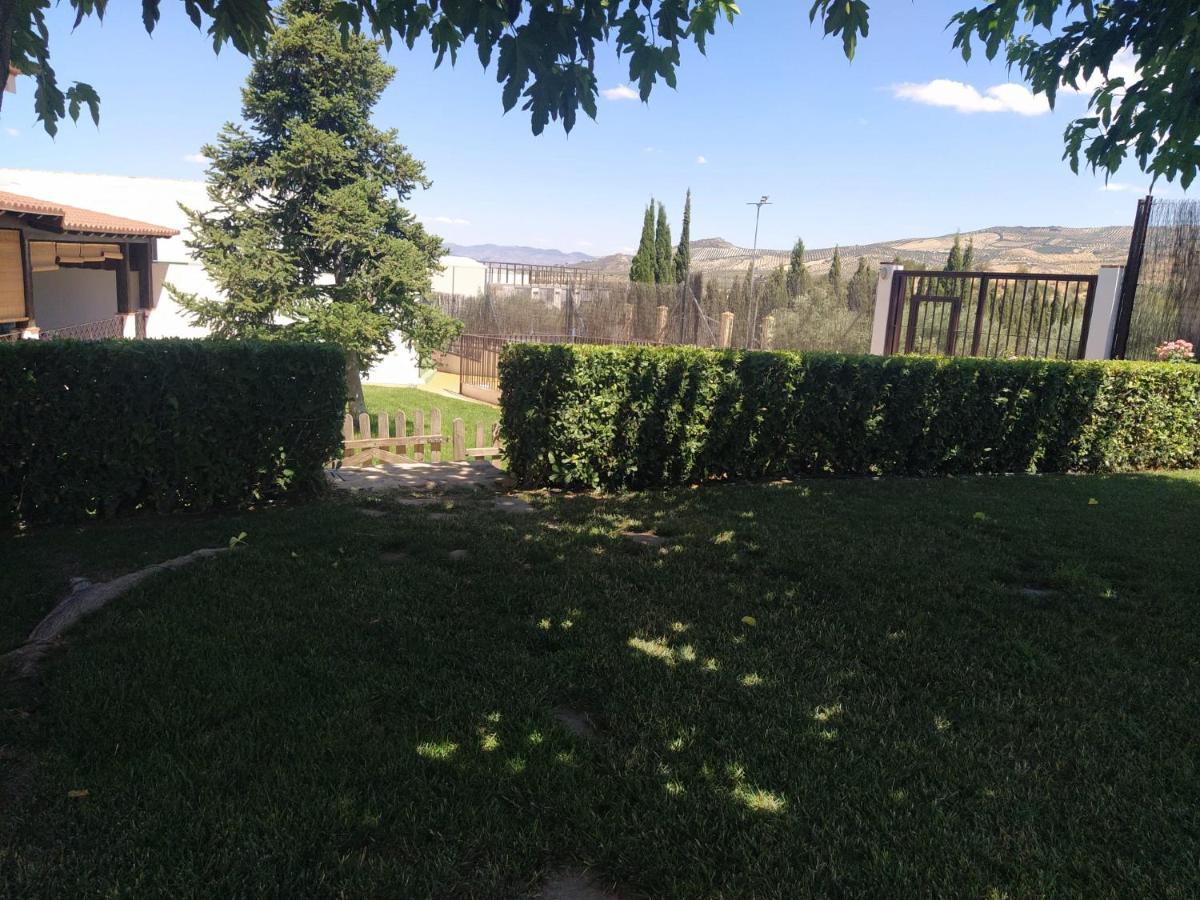 Casa Rural Alamillo Luque Eksteriør billede