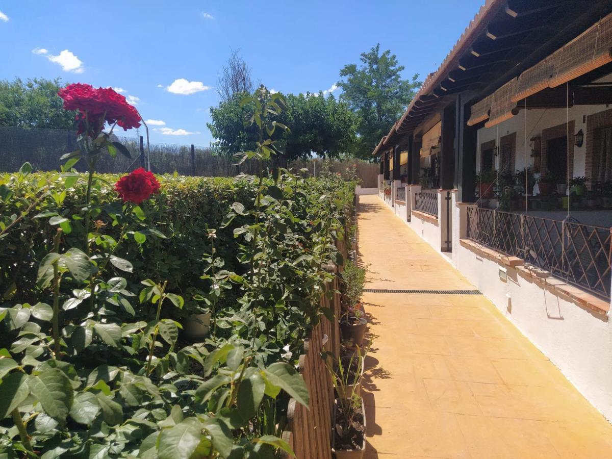 Casa Rural Alamillo Luque Eksteriør billede